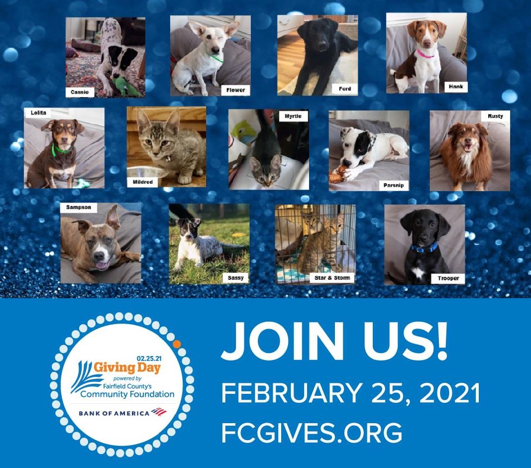 There is still time to help fundraise for ROAR. Learn more now! conta.cc/37p6t0Q