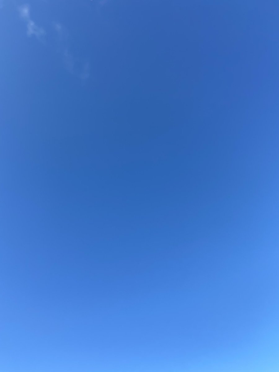 St Dominic CE VA School tweet media