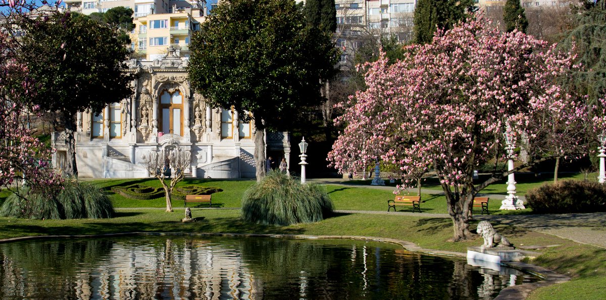 Havaya düşen ilk cemre ile birlikte Ihlamur Kasırları’nın bahçesindeki manolya ağaçları da açtı. Kasır bahçesi şu sıralar toz pembe bir bahar masalı anlatıyor ziyaretçilerine 🌸