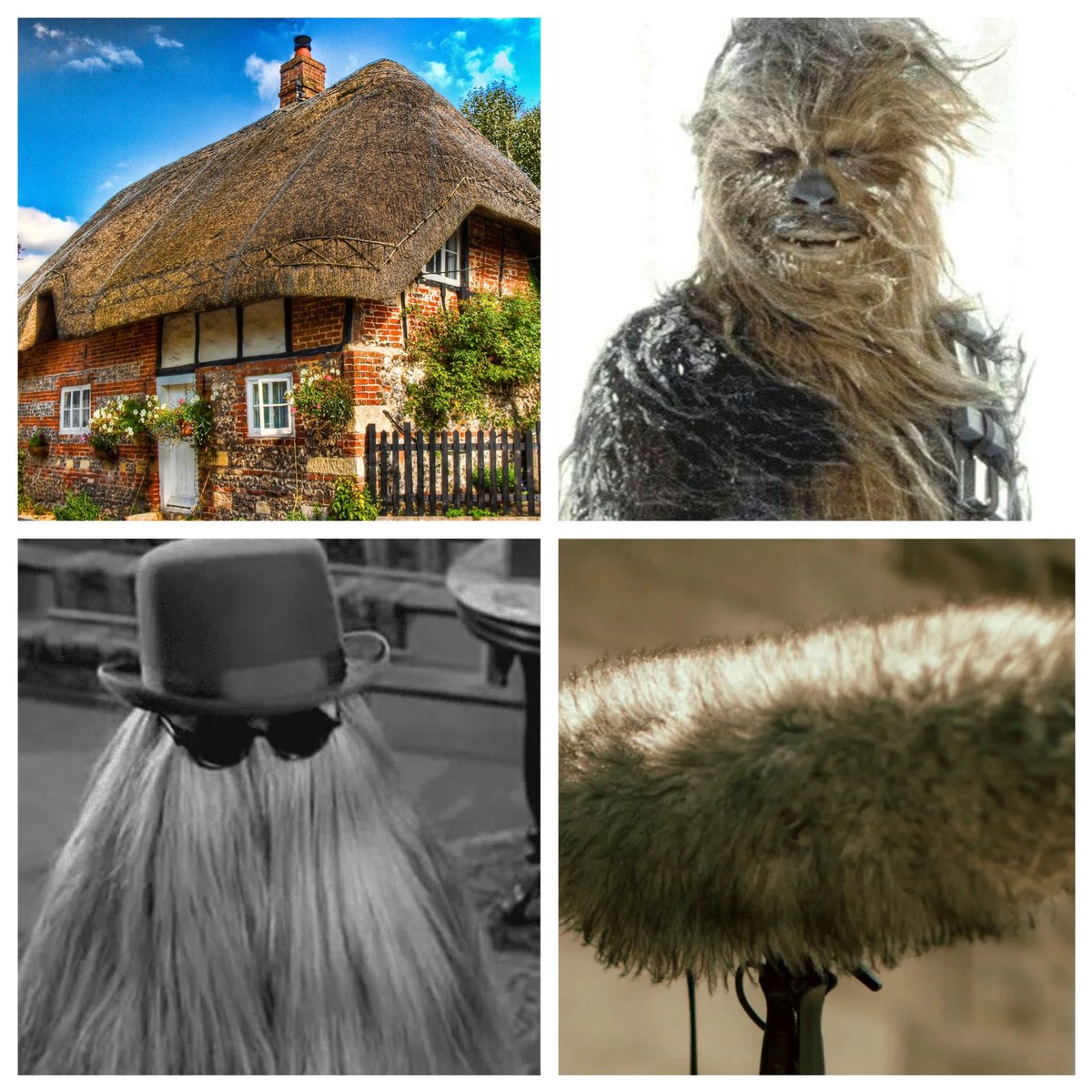 AJA801113's tweet image. Our Prime Minister @BorisJohnson 

He resembled a mix of the following:

- Dougal from the Magic Roundabout
- A Thatched Cottage
- A Furry Microphone 
- Cousin IT from the Addams Family
- Chewbacca from Star Wars 

#Road2Recovery #PrimeMinister