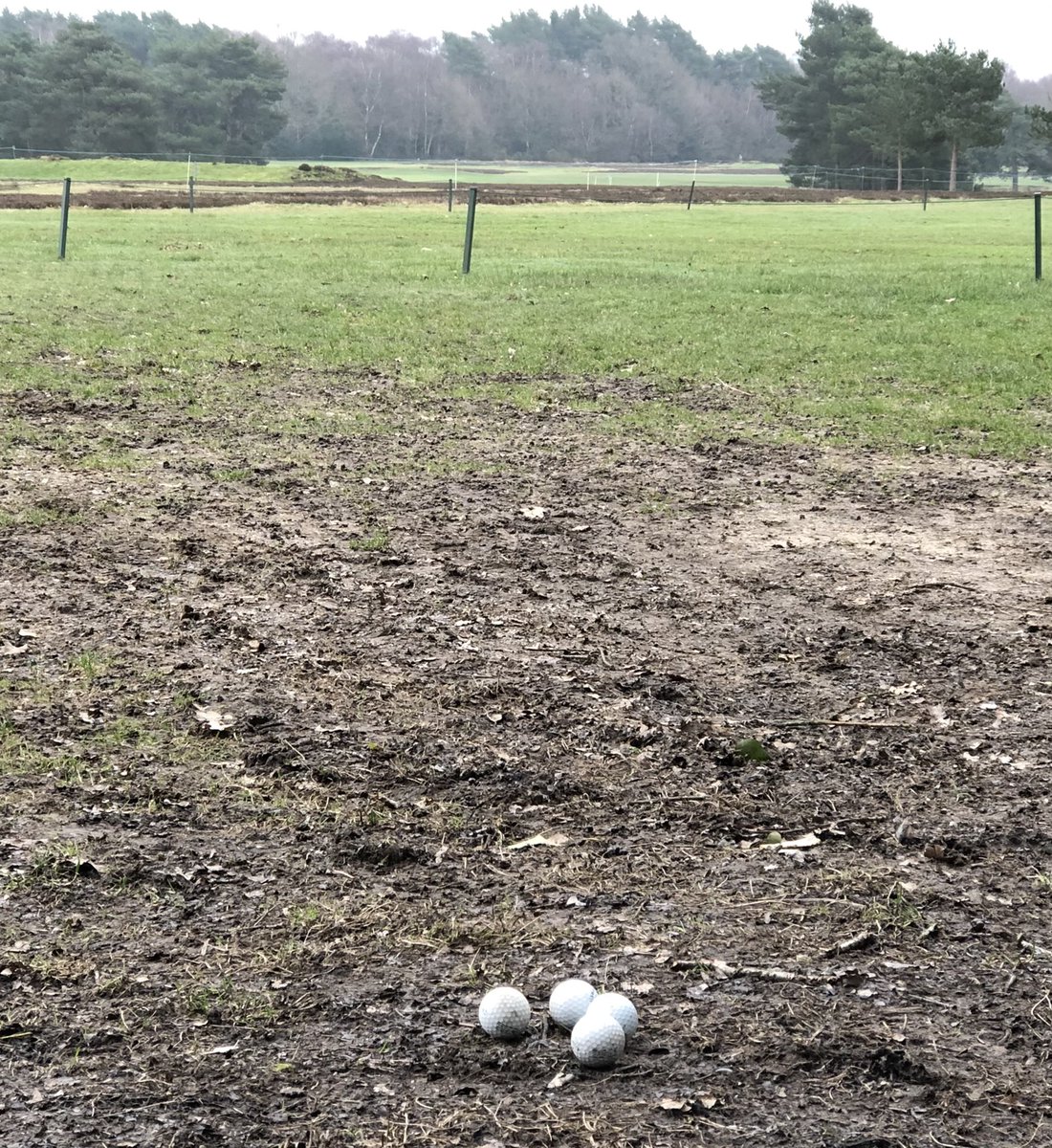 TadworthVillage's tweet photo. Thanks @Walton_Heath_GK for the chat today
We hope your pleased with our #Litterpicking on your beautiful #golfcourse

Disappointed to see so much churned up #historical #litter &amp; other #litter +dangerous historical #flytipping inc #asbestos ☣️

Good to know you want to help🍃🪵 https://t.co/NIH5Ee03AO