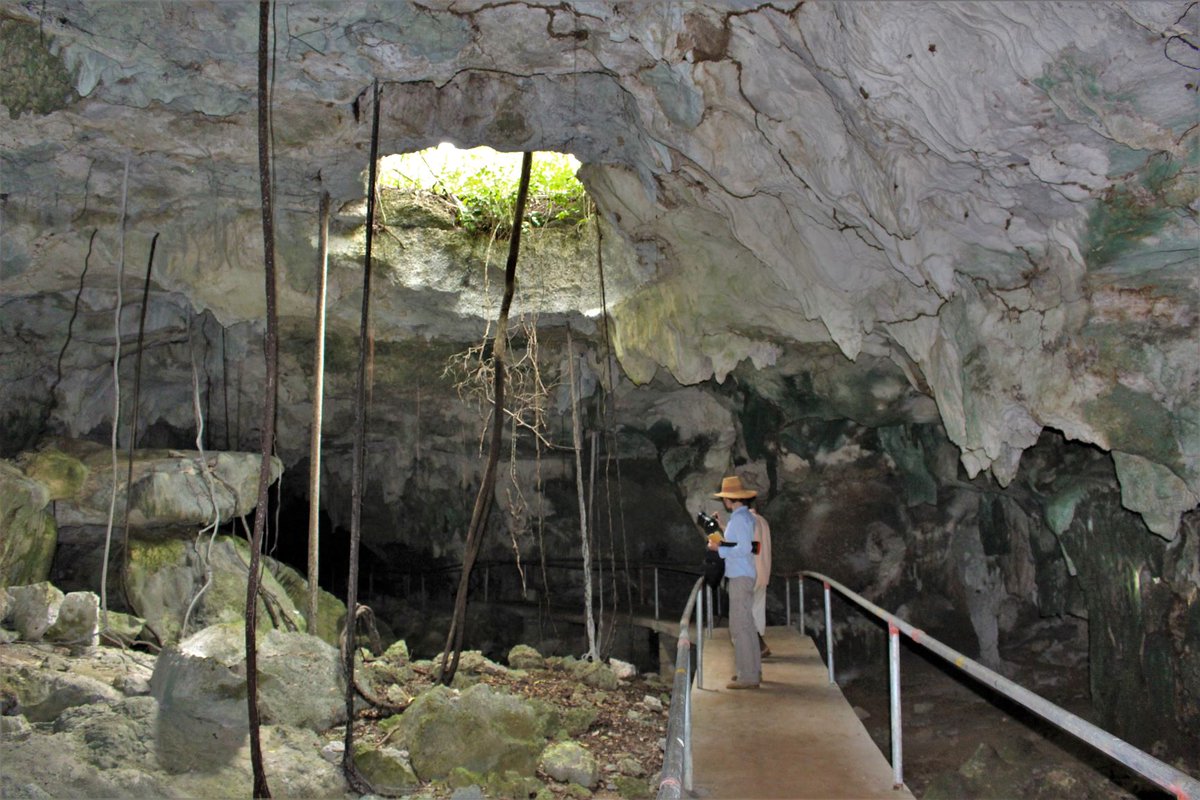 EAfricanNotes's tweet photo. Worrying about caves: ecotourism and biosecurity in East Africa  #zoonoses #spillover #biosecurity #tourism #Zanzibar #Tanzania  
https://t.co/KttfUsXlhE https://t.co/MUtd03Hijw