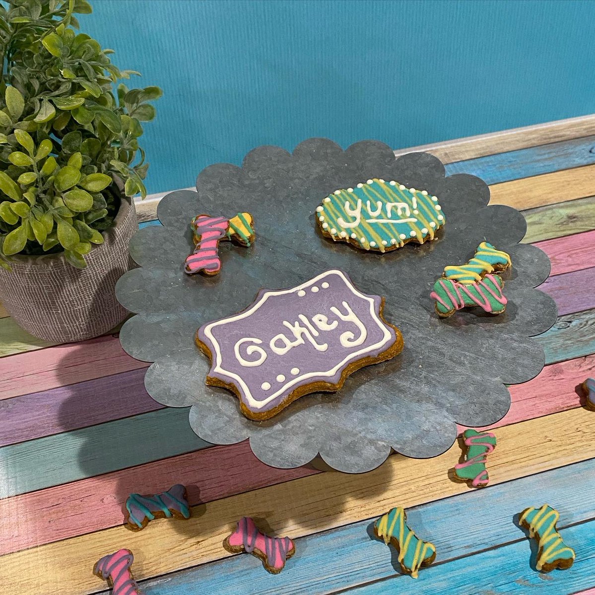 BarkBarkery's tweet photo. Peanut Butter &amp; Pumpkin cookies are our best sellers 🥰 just let your pup tell you why! 
#dogbakeries #barkbitesbarkery #doggo #dogsoftwitter #pup #puptreats #dogtreats https://t.co/tEpVlsomKQ