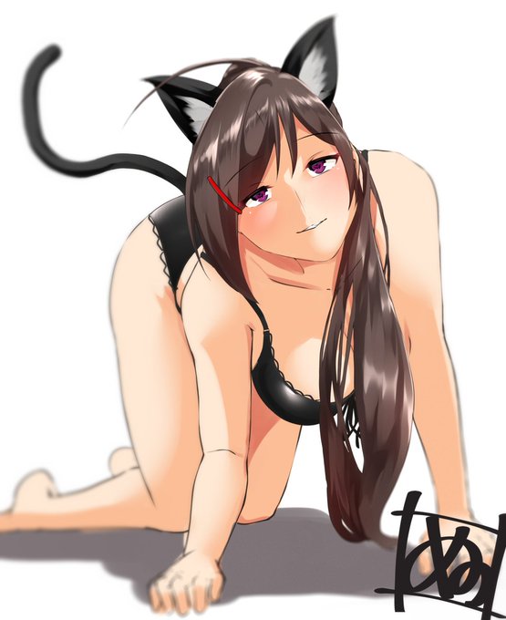 猫の日らしいので大急ぎで間宮描きました。 