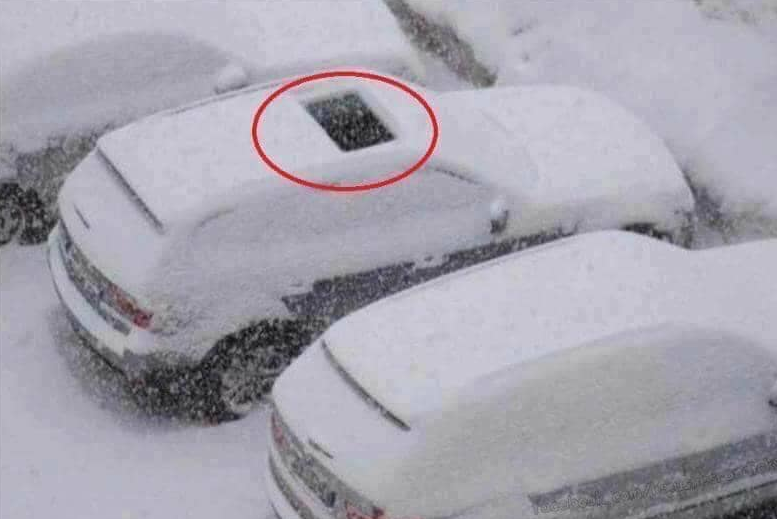 jamesaydelott's tweet photo. This seems like something I would do....
#AlwaysDistracted #okwx https://t.co/YMbJeXnSL4