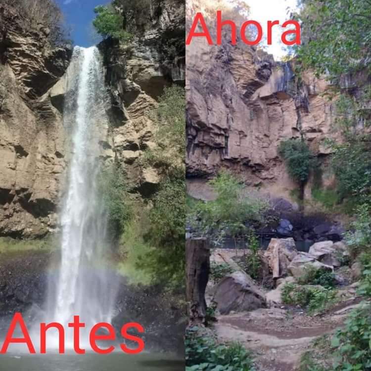 BessFrank's tweet photo. Enojo, impotencia y tisteza...
Intereses personales y un daño irreparable al ecosistema de la región. 
El señor @Silvano_A desvía el agua para sus aguacates y está destrozando no solo al paisaje sino a los habitantes de la región. 
 #tuxpanmichoacan
@ImagenTVMex 
@CiroGomezL https://t.co/ijcLssayZa