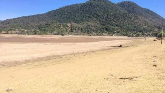BessFrank's tweet photo. Enojo, impotencia y tisteza...
Intereses personales y un daño irreparable al ecosistema de la región. 
El señor @Silvano_A desvía el agua para sus aguacates y está destrozando no solo al paisaje sino a los habitantes de la región. 
 #tuxpanmichoacan
@ImagenTVMex 
@CiroGomezL https://t.co/ijcLssayZa