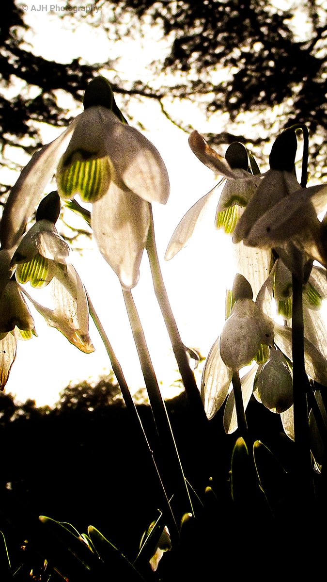 Just a couple of shots of the weekend....