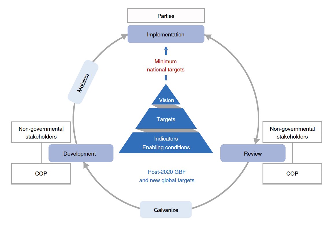 Andy Gonzalez Ensuring Effective Implementation Of The Post Global Biodiversity Targets Why Did The World Fail To Hit The Aichi Targets What Must Be Done Now To Set Up The