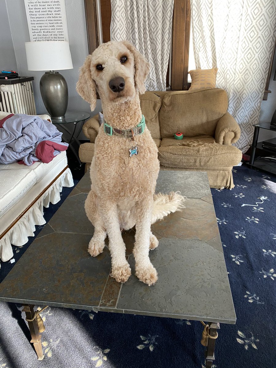 “What do you mean, I’m not supposed to be up here?”