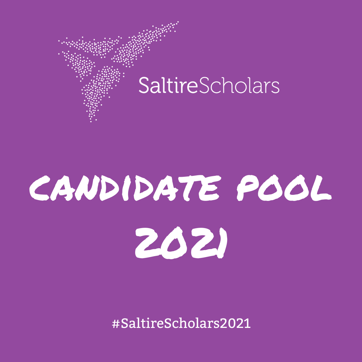 SaltireScholars's tweet photo. Look at what some of our Professional Interviewers had to say about the standard of our #CandidatePool! π₯³ If you're interested in bringing some of this talent into your own company by hosting a #SaltireScholar, feel free to email gillian.mcgill@entrepreneurialscotland.com π² https://t.co/6bu90jCsps