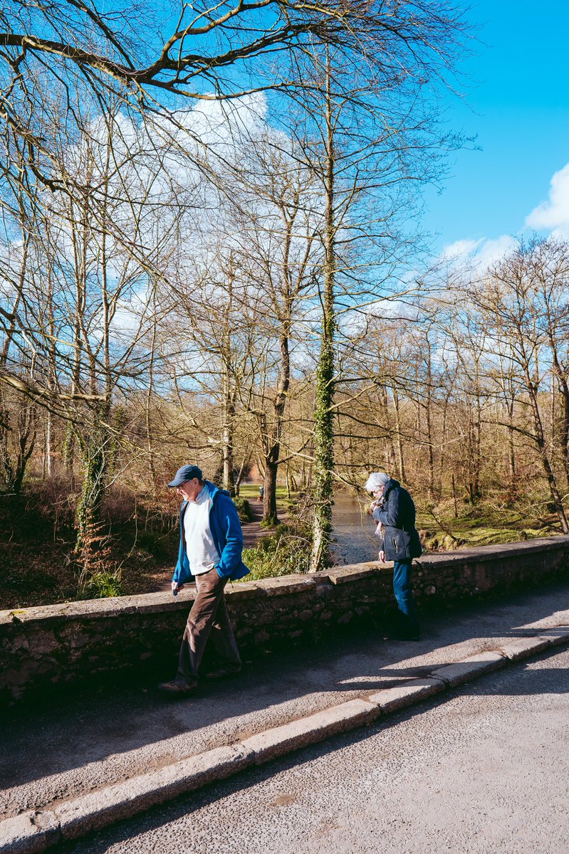 andreoloa's tweet image. Was able to leave the gloves at home for my run today