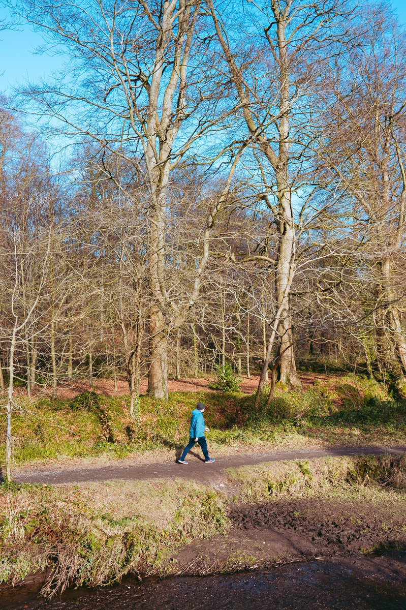 andreoloa's tweet image. Was able to leave the gloves at home for my run today