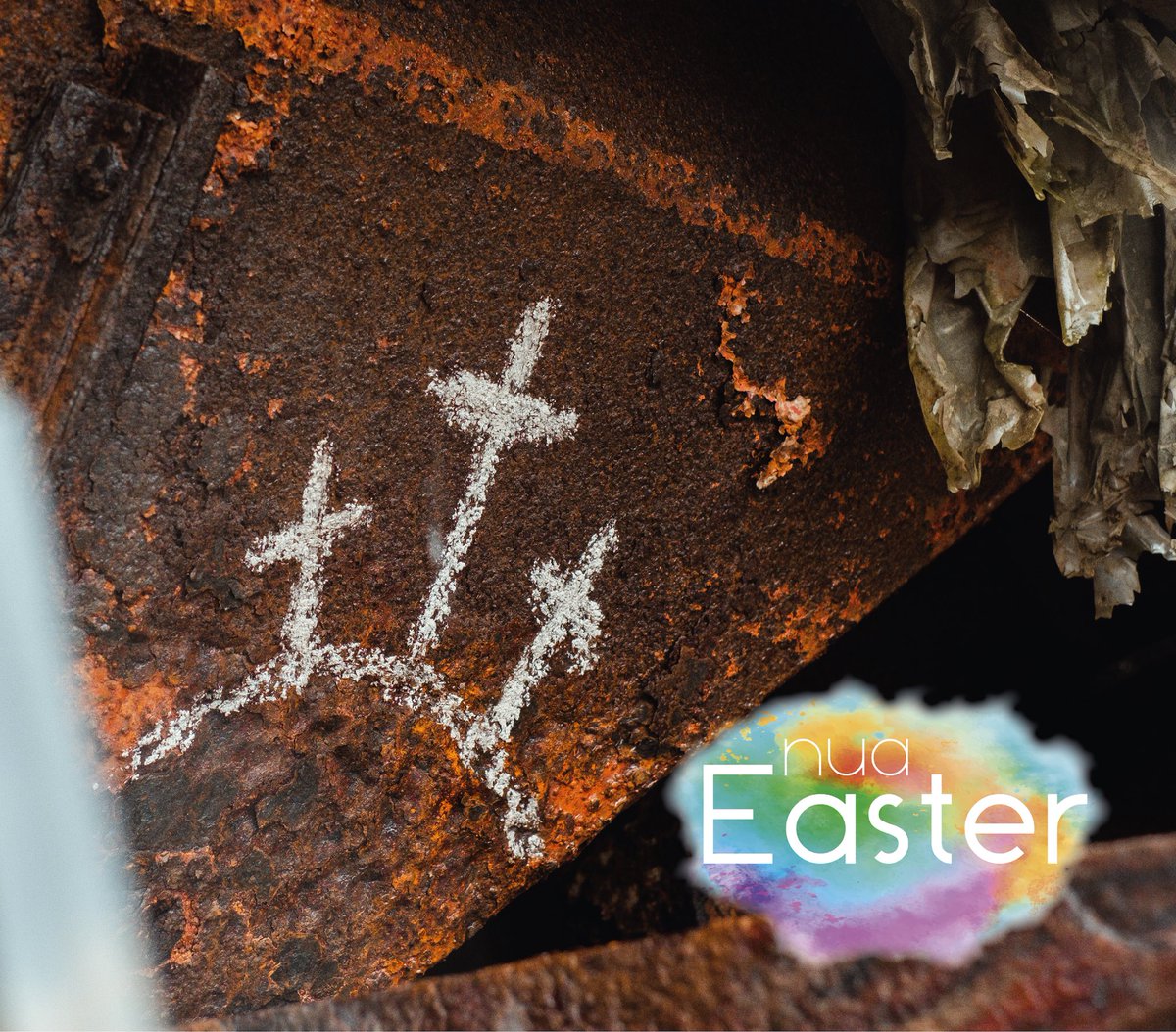 NUA Film Series tweet media