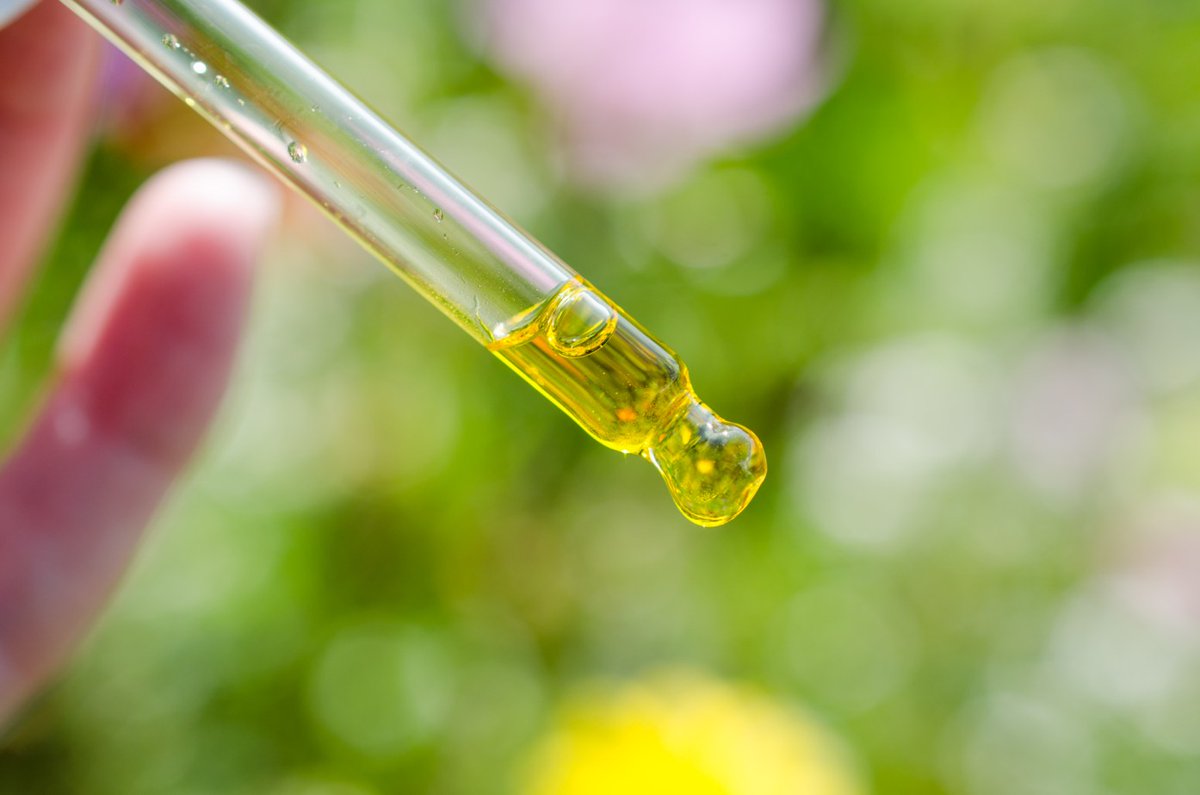 BeautyCleanse_'s tweet image. 🤔Do you know how does Oil Cleansing work? Who Should Not Do it? - mailchi.mp/4d5fd58a093f/g…