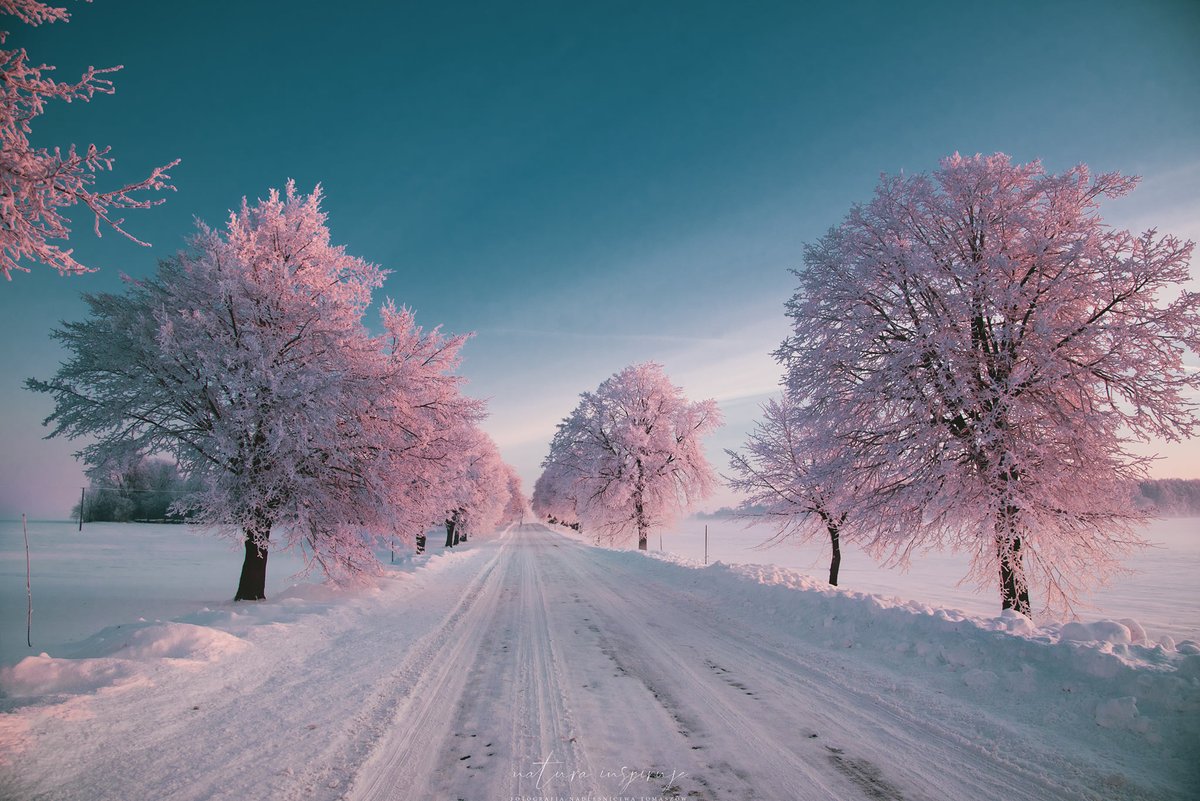 bodrum3535's tweet image. Snowy road near Jarczow village, south-eastern Poland, 19.02.2021.  by Karol Janczuk