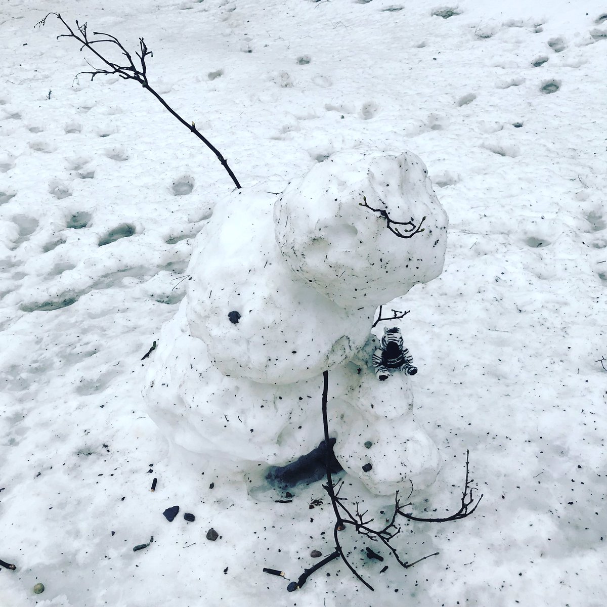 CarciNor tweet media