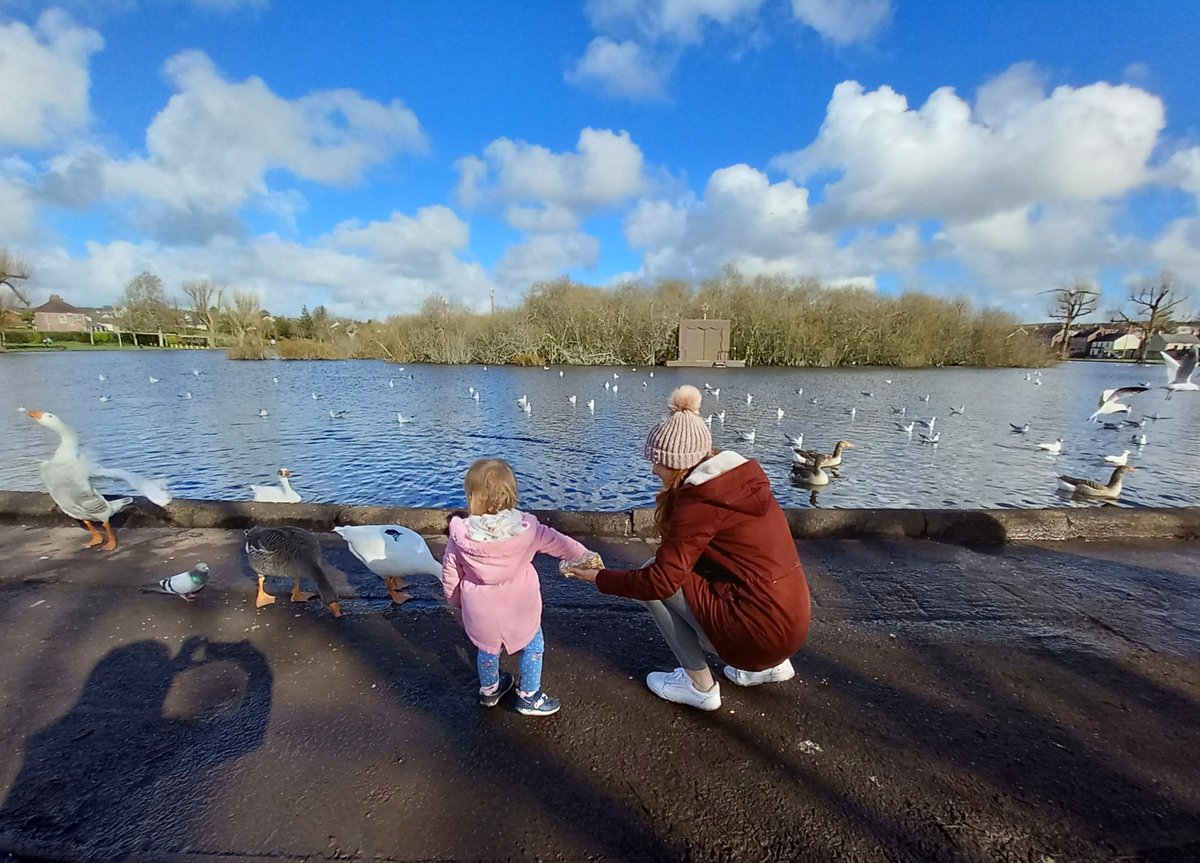 MargaretOC6's tweet image. It's a beautiful day
Skies fall, you feel like
It's a beautiful day
Don't let it get away...🎶🎵 

#Feb22nd #Cork