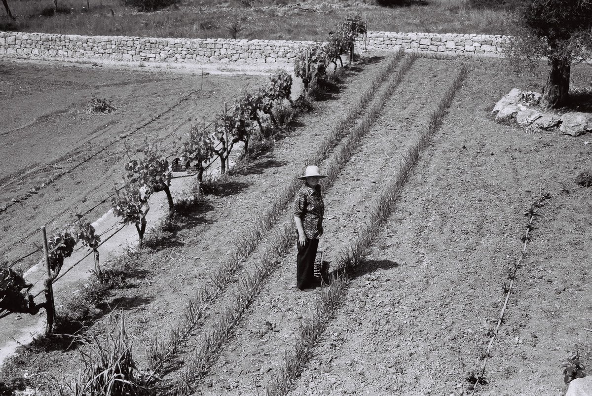AgriculturaGOIB's tweet photo. 👩‍🌾Al sector agrari de Balears volem la #IgualtatSalarial entre dones i homes, i que la feina d'elles sigui reconeguda professionalment. Sempre hi són, però encara representen només el 23% del treball assalariat.
♀️Treballem per la igualtat
#DiadelaIgualdadSalarial #Romperlabrecha https://t.co/R5MKjBbVCT
