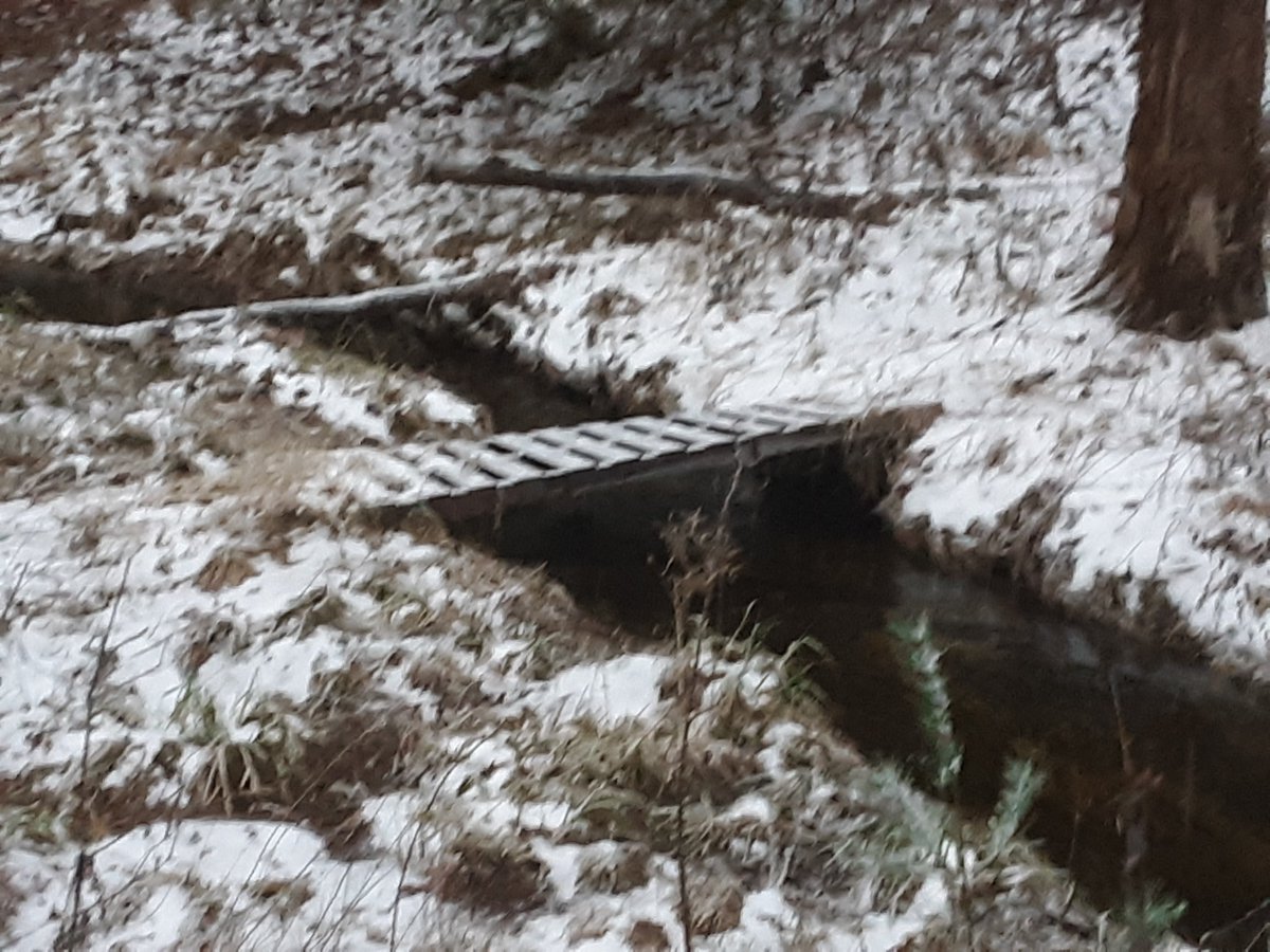 selfascaredness's tweet image. We know what the comfort zone feels like. Sometimes, the best thing we can do for ourselves is explore unknown territory.

New Podcast episode coming today!

#NaturePhotography #bridge #winter #mentalhealth #love  #gratitude #podcast #selfascaredness