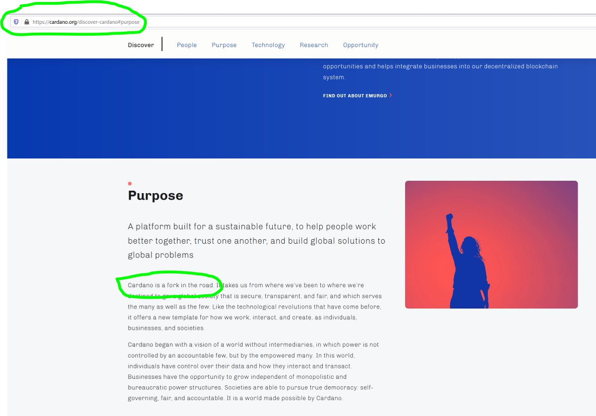 Nthony D On Twitter Fork In The Road Cardano Elonmusk
