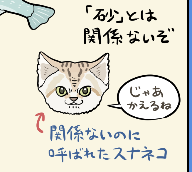 妙な役割を負わされがちなスナネコ。 