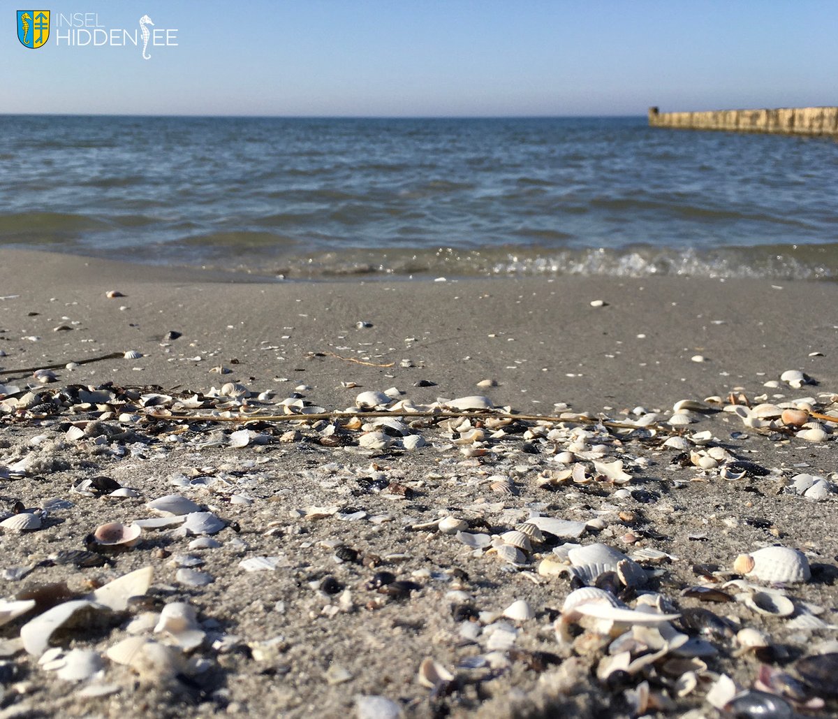Hallo!!! 

Vor zwei Wochen noch tief verschneit, zeigt 
sich Hiddensee jetzt von seiner frühlingshaften Seite. 
Genießt ihr auch die ersten warmen Sonnenstrahlen 
bei euch zuhause?

#hiddensee #insel #inselhiddensee #ostsee #mvtutgut