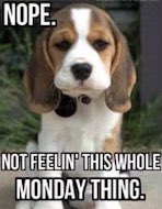NSP_TroopE's tweet photo. Yep, itβs that time again. Time to start the work/school week. Itβs windy the next couple of days so be on the the look out for blowing and drifting snow making the roads slick in places. #WinterDriving #NoCruiseControl #BuckleUp #DontDriveDistracted #BePrepared https://t.co/3NpGC7hBFW