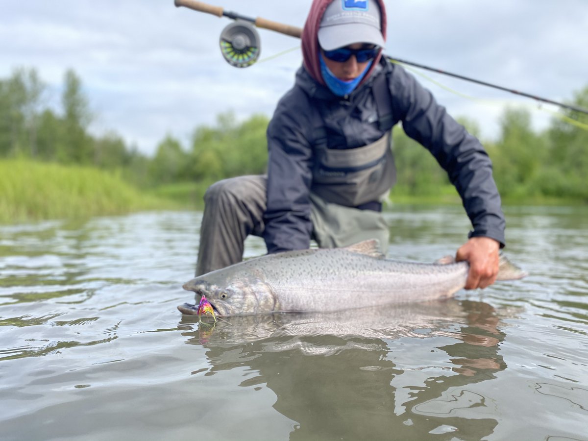 riversong_lodge's tweet image. Kings.. Annually putting gear to the test. Whatever the situation we have you covered with several rod and reel setups to choose from! @riversong_lodge