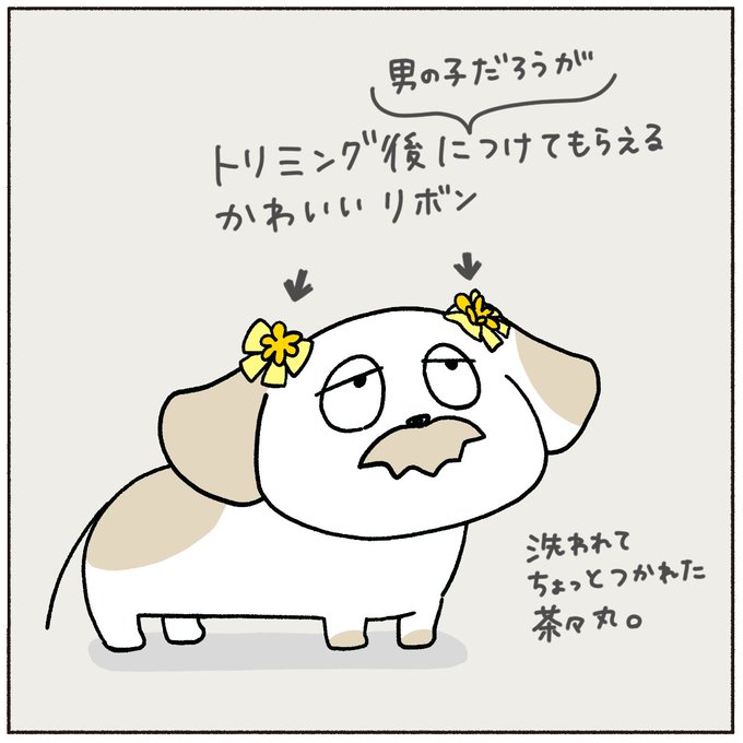 いらすとのtwitterイラスト検索結果 いらすとのtwitterイラスト検索結果