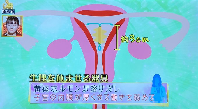 話 深 生理 イイ