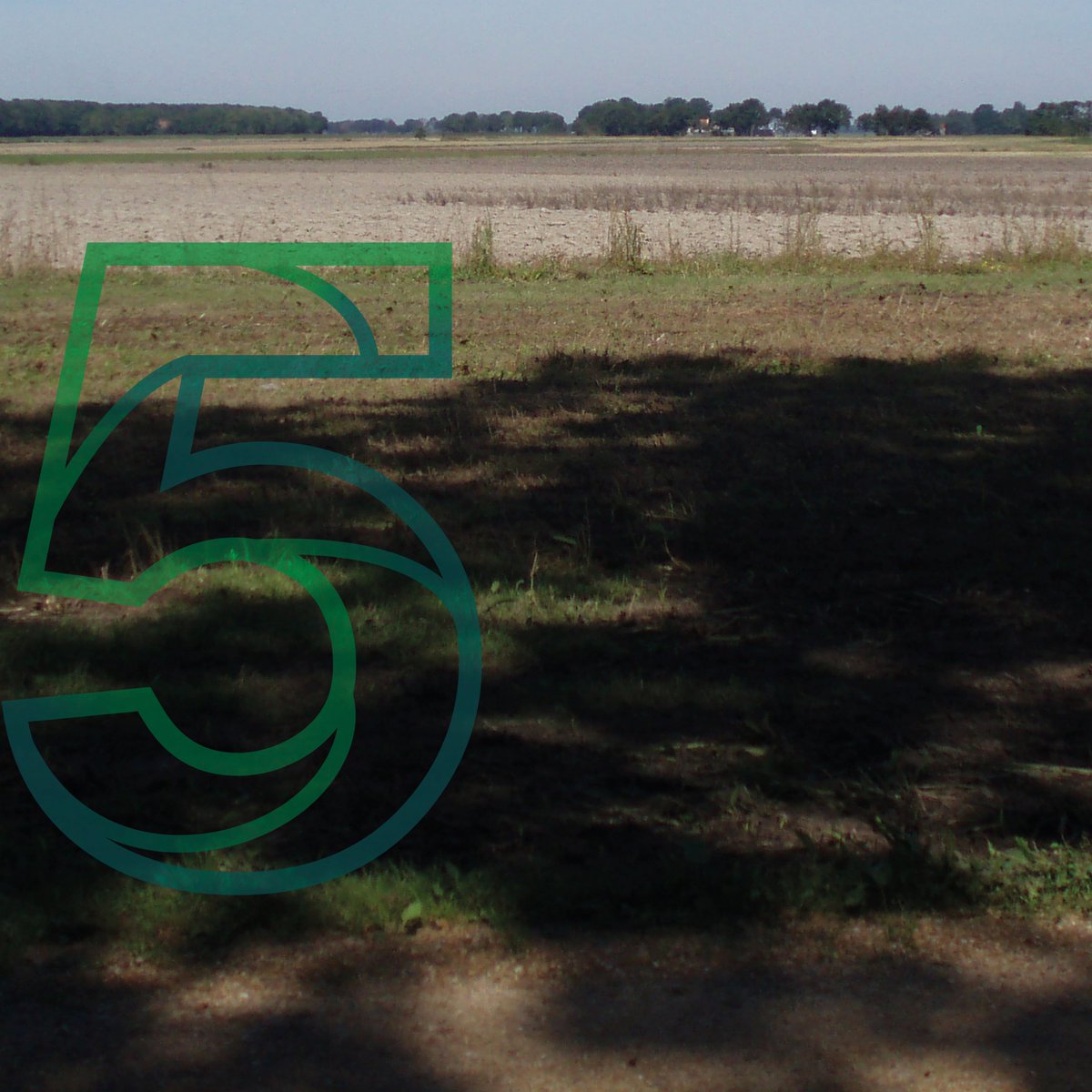 Op en rond het eiland liggen verschillende landbouwpercelen. Intensieve landbouw heeft hier plaatsgemaakt voor kleinschaliger teelten en begrazing. Alle foto's uit de serie nog eens bekijken? Kijk op schokland.nl/toen-nu-25-jaa….