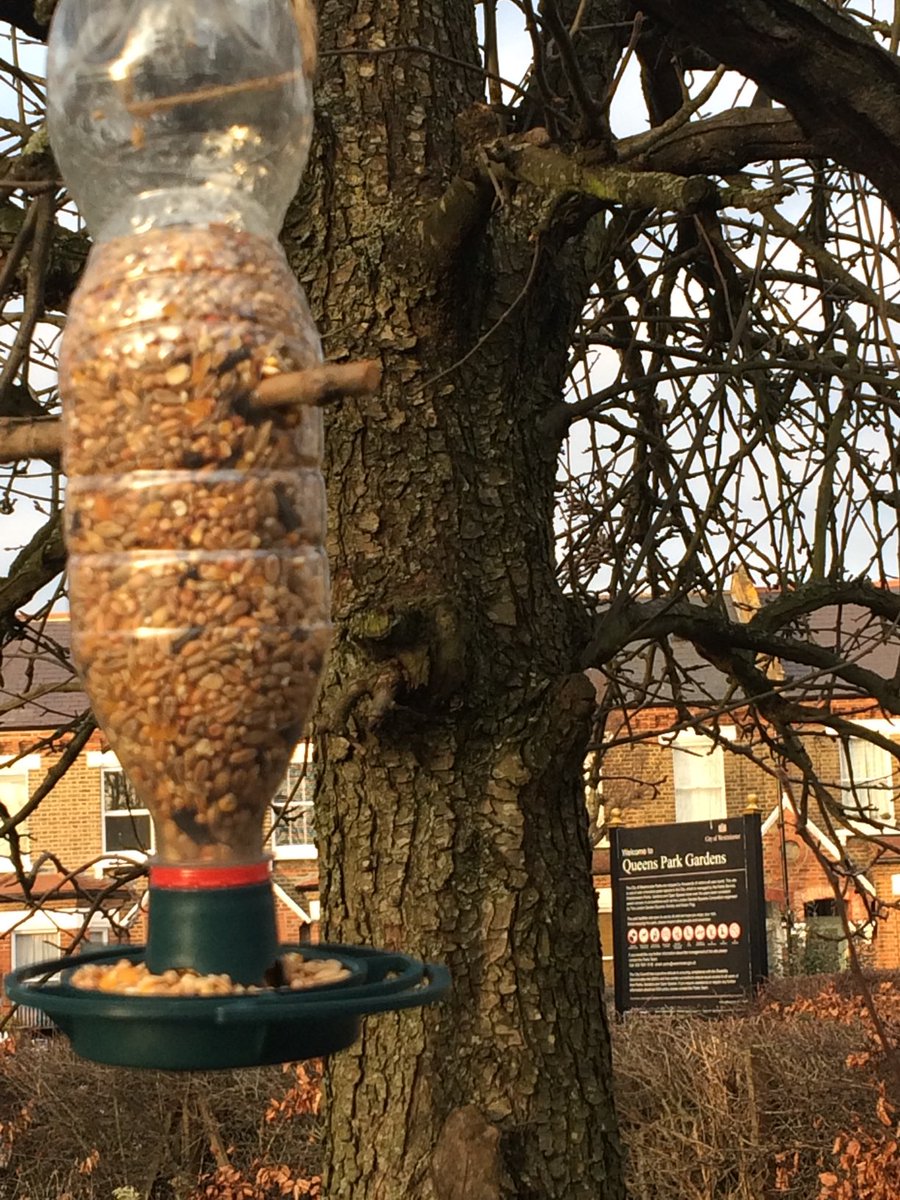 Queens Park: if you picked up one of our free ⁦@HCGAGardens⁩ Bird Feeder Kits from #QueensParkGardens #W10 last month- how’s yours doing? Do post a pic. 🐦 ⁦@QPCouncil⁩ ⁦@FoQPGardens⁩ ⁦@HCGAGardens⁩