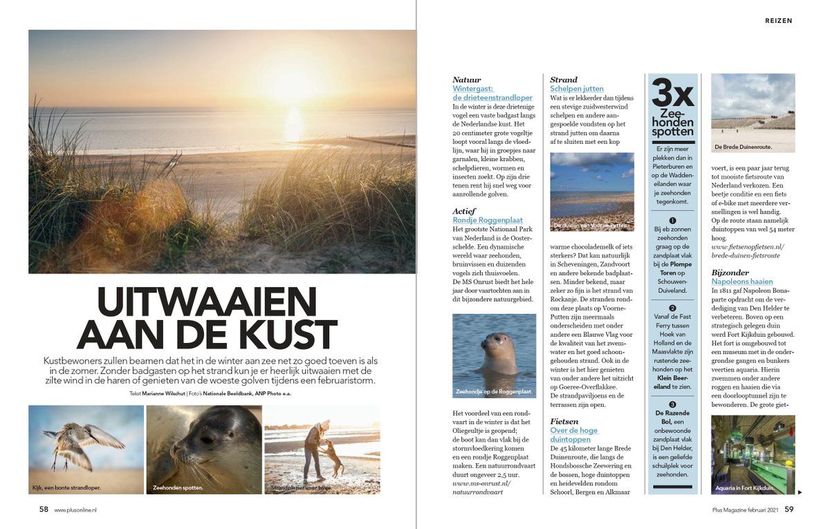 Ga je profiteren van dit mooie lenteweer? Check eerst in Plus Magazine de leukste dingen die je 's winters aan onze kust kunt doen!
