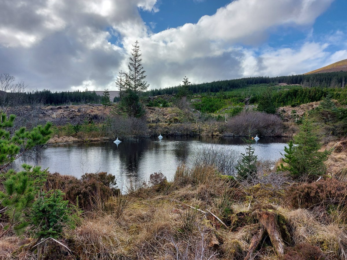 The winter sampling campaign for <a href="/europonds/">EUROPONDS</a> got underway yesterday thanks to <a href="/edeeyto/">Elvira de Eyto</a>! Better late than never! Can anyone spot the difference from our Autumn sampling?! 🍂❄
<a href="/cfes_dkit/">CFES DkIT</a> <a href="/MarineInst/">Marine Institute</a> 
#pond #sampling #winter #ireland #irish #humic #burrishoole #Freshwater