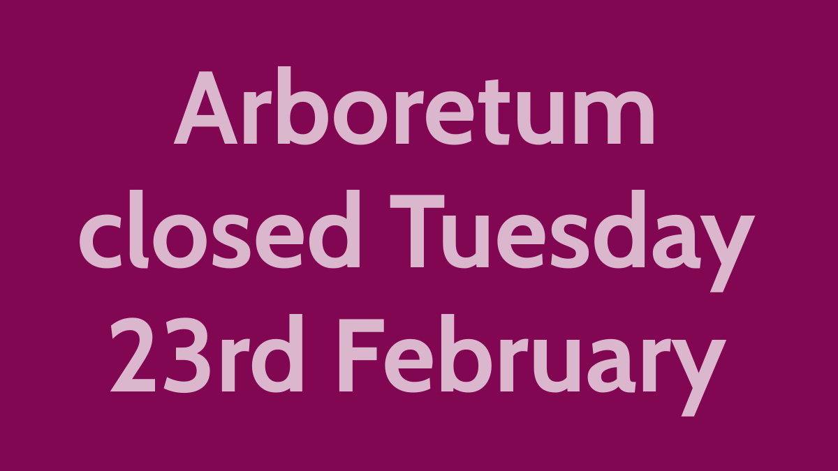 Unfortunately, the arboretum will be closed all day on Tuesday 23rd February due to the high wind gusts forecast. We may have to close Wednesday 24th too - please check for an update before you travel. The garden centre will remain open as normal from 10am-3pm.