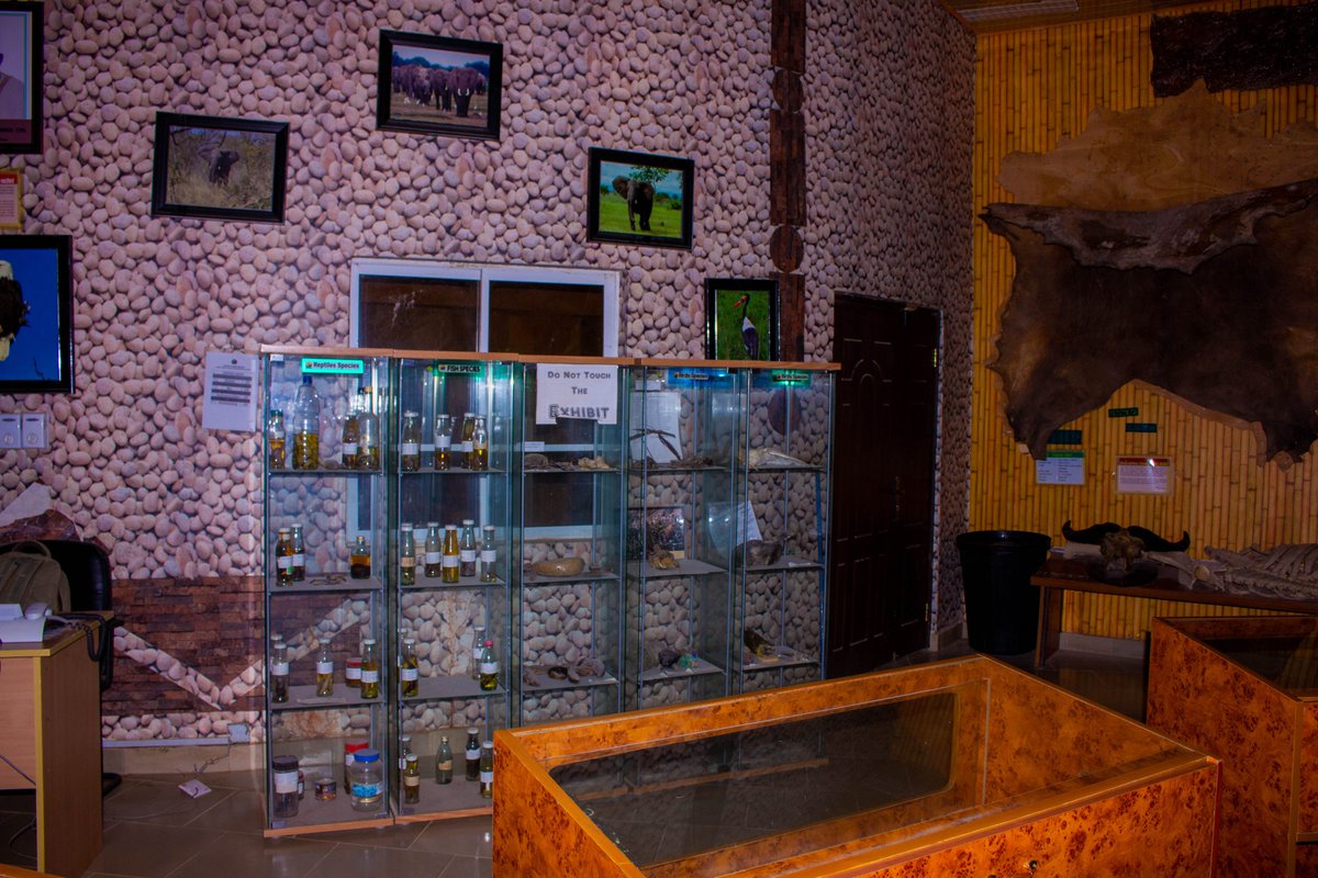 Yankari Game Reserve tweet media