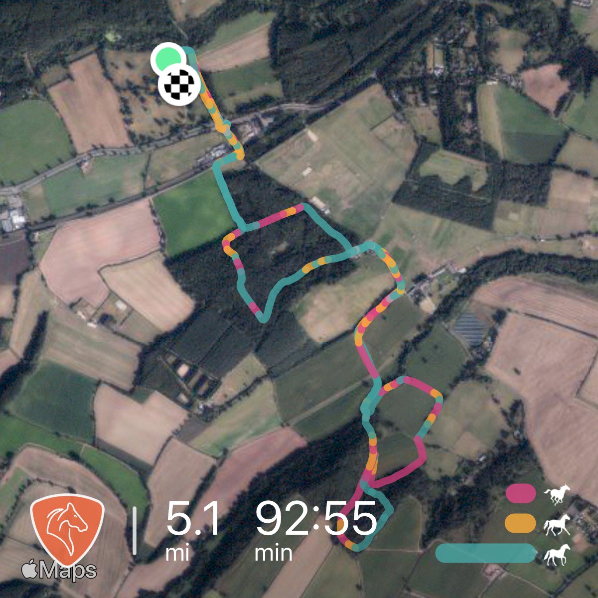 CalowJanice's tweet photo. Little morning hack 😍🐎spring is springing 🌱 https://t.co/dcNZhfpSVY
