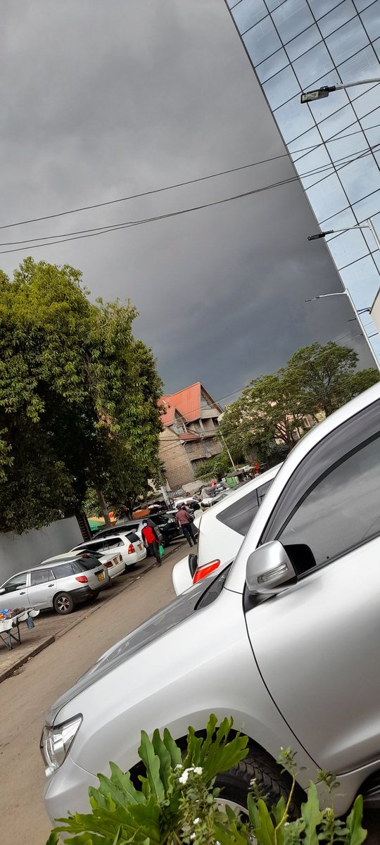 Cheddar (@ashtonemachedar) on Twitter photo 