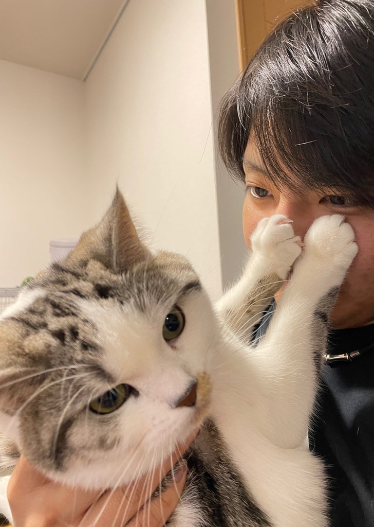 かれん 最初は猫溺愛してる小柳さん可愛い と思って見てたけど最近もはや小柳の猫を飼うために小柳になりたい