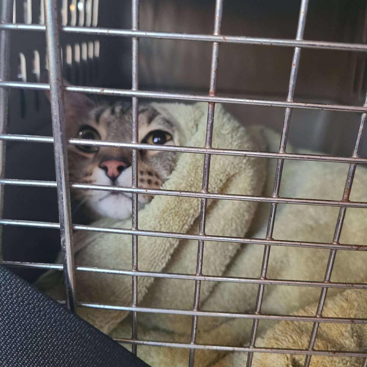 snickarp tweet media