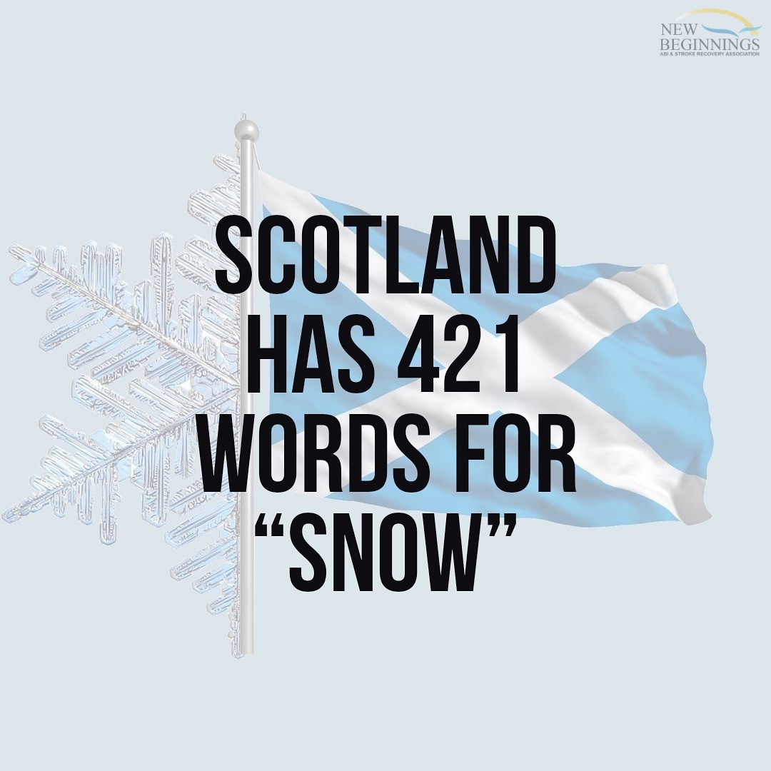 ABIandStroke's tweet photo. #DidYouKnow
.
.
.
.
#newbeginnings #braininjury #stroke #recovery #OBIAcanhelp #abi #ckont #staystrongck #chatham #sarnia #unitedway #littlethings #nowornever #locallove #instagood #happy #instamood #covid19 https://t.co/DjsGctLPec