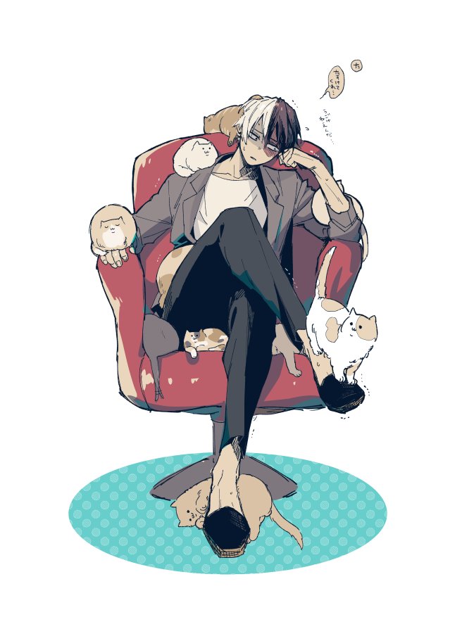 todoroki shouto split-color hair 1boy male focus crossed legs sitting cat two-tone hair  illustration images