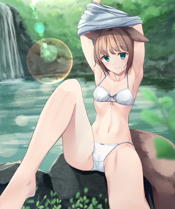 けもみみ (:3_ヽ)_ 