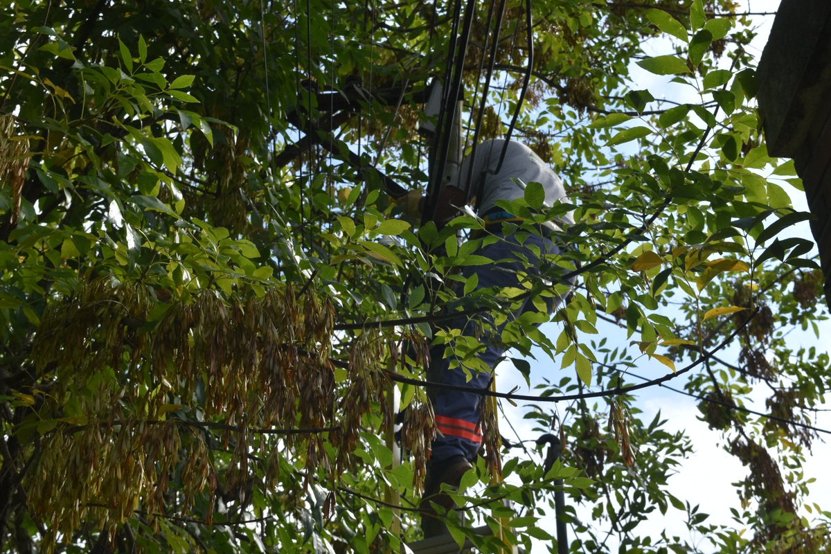 ServPublicMerce's tweet photo. SERVICIO ELÉCTRICO

Seguimos avanzando en la conversión de lámparas de sodio a lamparas led, para una mejor iluminación y menor consumo en la zona de calle 1 hacia acceso Sanmartín y de 114 a Av.2

#CiudadDeTodos https://t.co/vQbMH6QCks