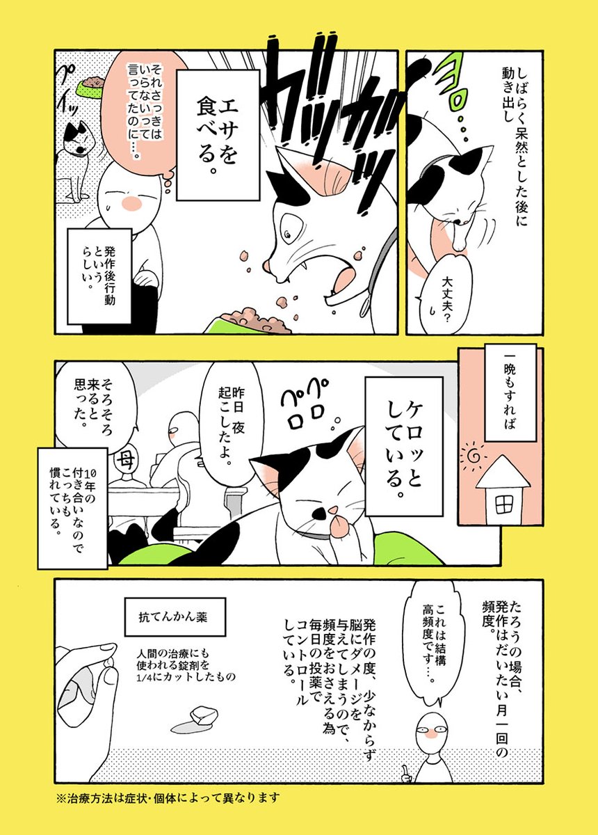癲癇(てんかん)持ちの猫と暮らす 1/2
#猫の日 
