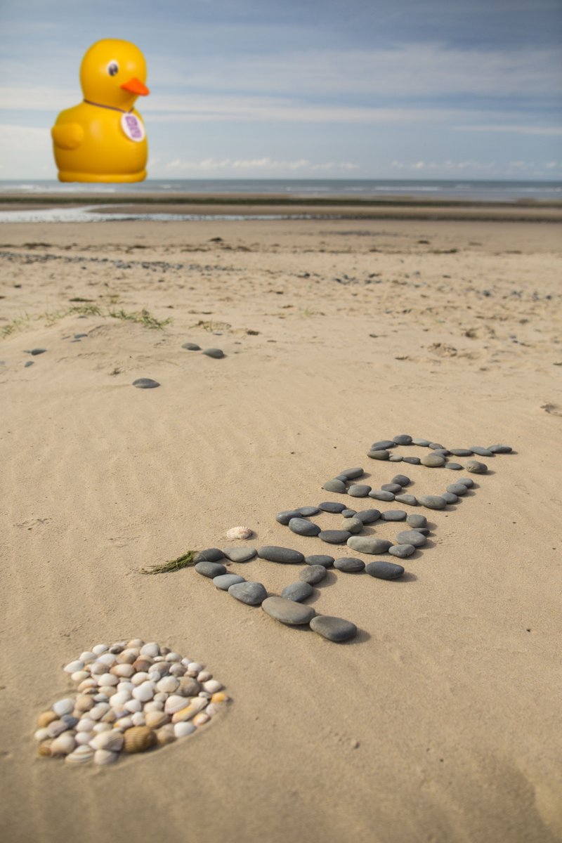 ❗CYFLE OLAF i ennill gwobrau i fyfyrwyr blwyddyn olaf Aber! ENNILL talebau werth £75, £50 neu £25.❗

🐤 I gystadlu:

- LLENWCH yr NSS yma thestudentsurvey.com 
- TAGIWCH ffrind yn y flwyddyn olaf
- RHANNWCH 

Yn cau Dydd Mercher 24ain Chwefror am 1pm. Pob lwc! 🦆
#AberNSS 😍