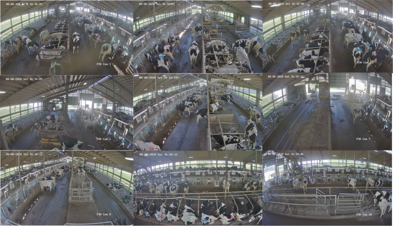 Dairy Innovation Hub tweet media