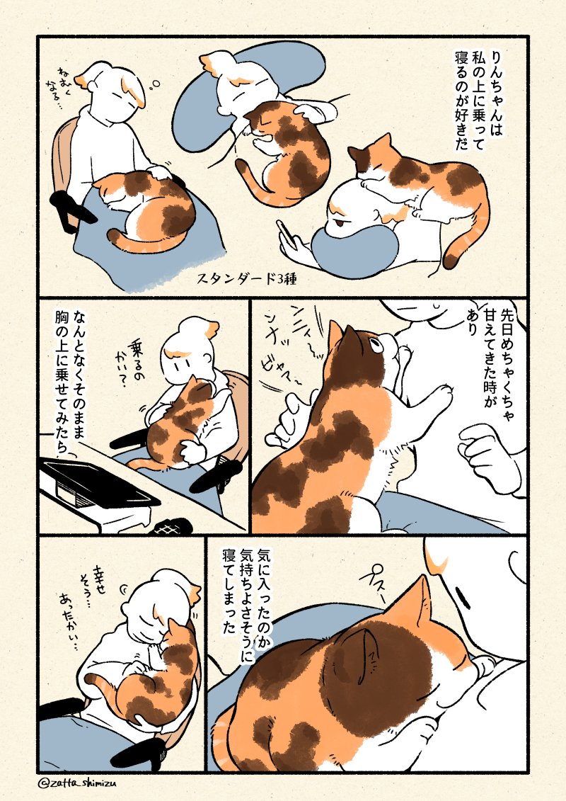 #猫の日 大遅刻しました?ここ最近の日常マンガです 