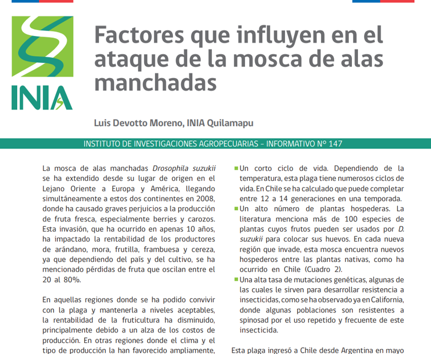 INIARaihuen's tweet photo. Información sobre la Mosca de Alas Manchadas #Drosophilasuzukii del investigador de @iniachile Dr. Luis Devotto y diverso material de interés para el sector de los berries lo puedes ver en https://t.co/uPPYZpgdHc del #programaextensionberries junto a @FIA_Chile @IntendenciaVII https://t.co/OYlpi3oZ9l